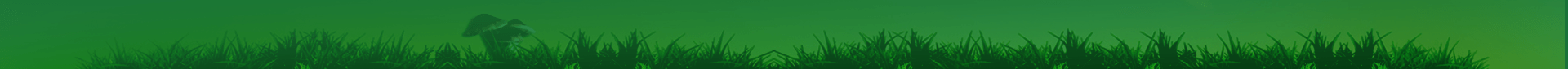 footer_poster