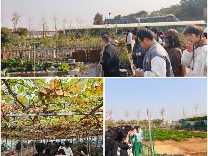 IMG_20251202_102709_副本.jpg